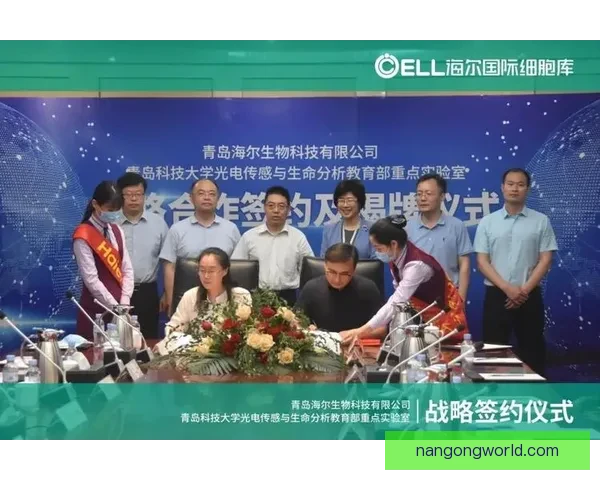 以欧塞尔俱乐部发展历程与未来战略为核心的全面分析与展望